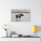 Yellowstone Bull Moose Satin Canvas Stretched 36″ x 24″ (Horizontal) 1.5"