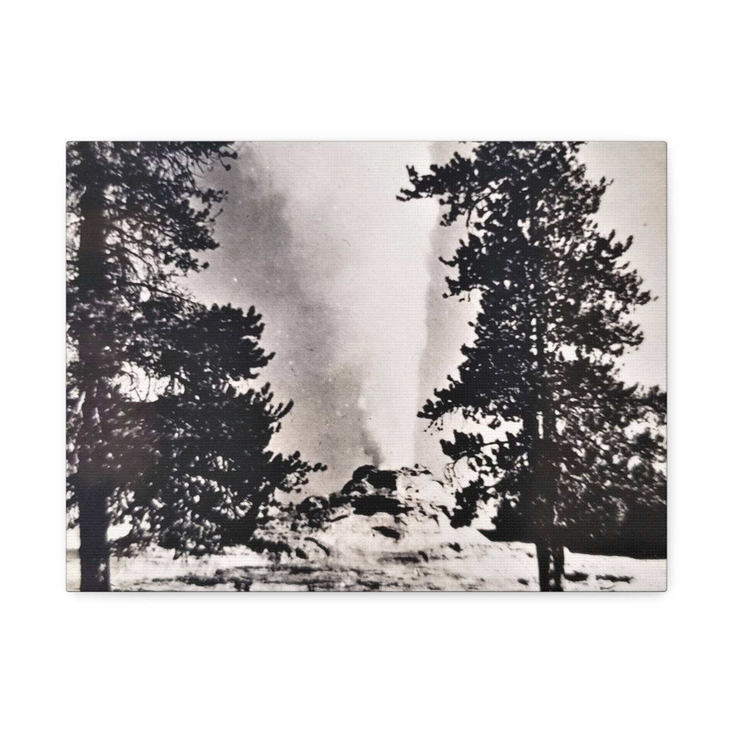 Castle Geyser Yellowstone Stretched Canvas