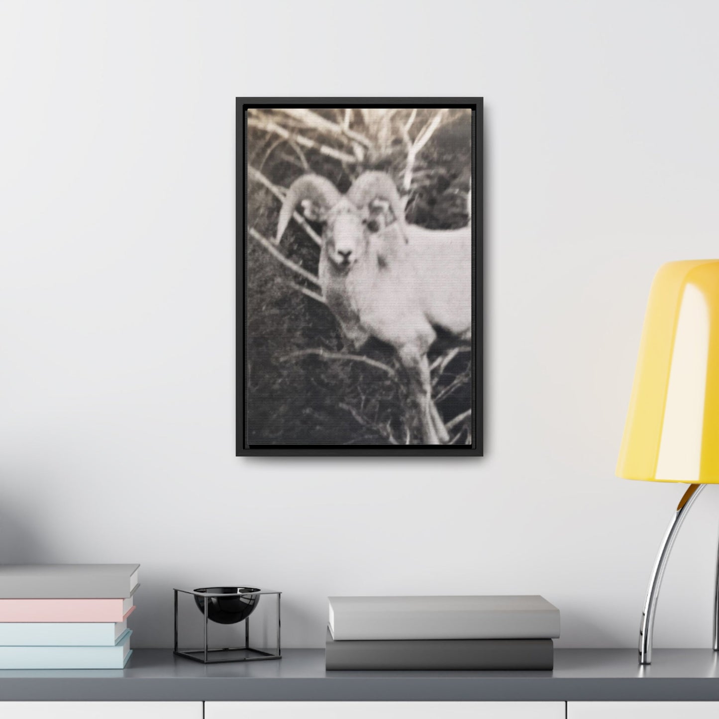 Yellowstone Big Horn Sheep Gallery Canvas Wraps Vertical Frame 12″ x 18″ Premium Gallery Wraps (1.25″) Black