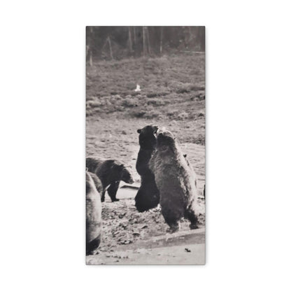 Yellowstone Grizzly Bears Canvas Gallery Wraps