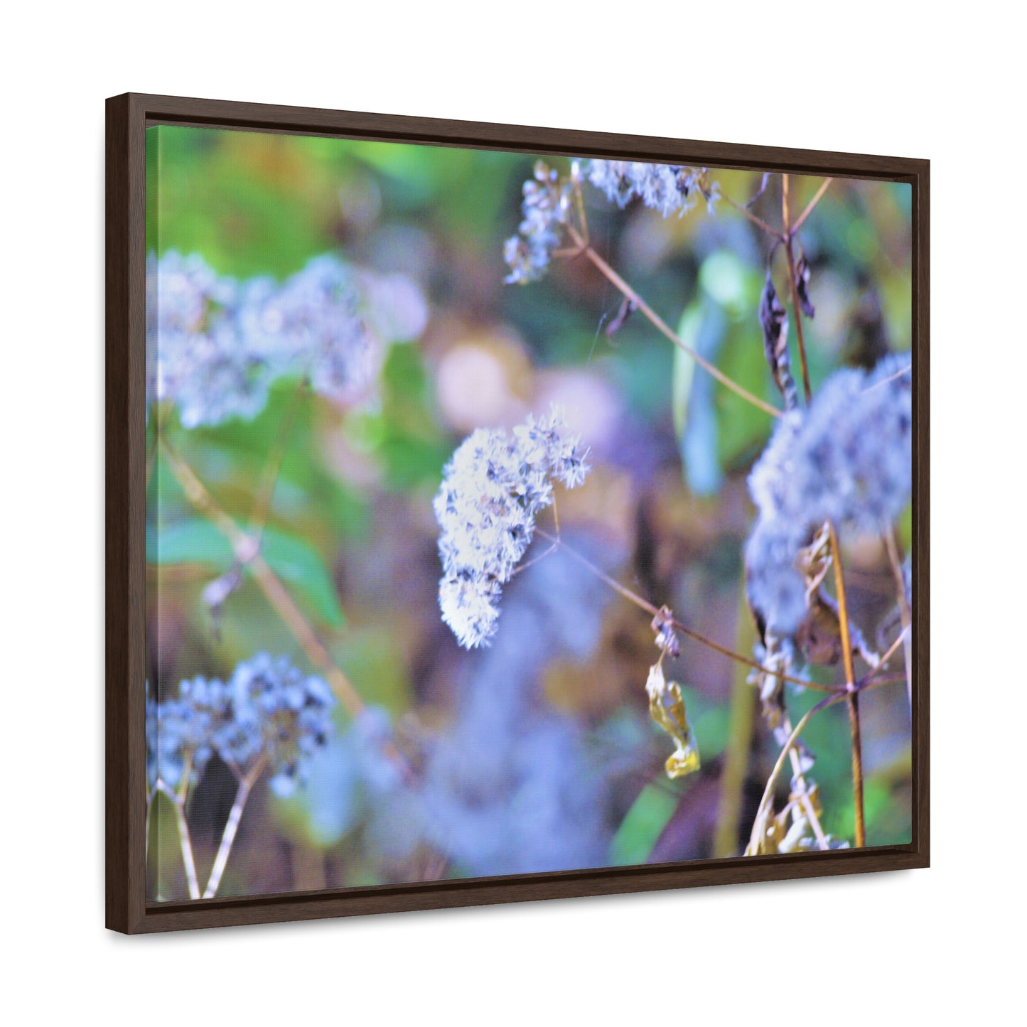 Macro Blue Gallery Canvas Wraps, Horizontal Frame