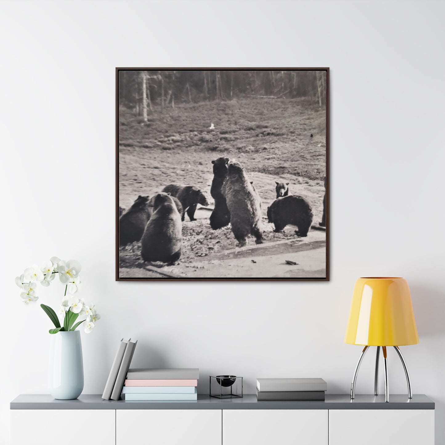 Yellowstone Grizzly Bears Gallery Canvas Wraps, Square Frame