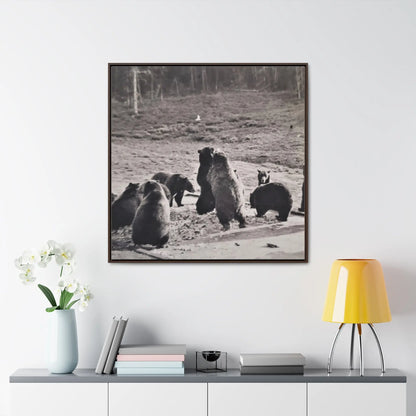 Yellowstone Grizzly Bears Gallery Canvas Wraps, Square Frame 36″ x 36″ 1.25" Walnut