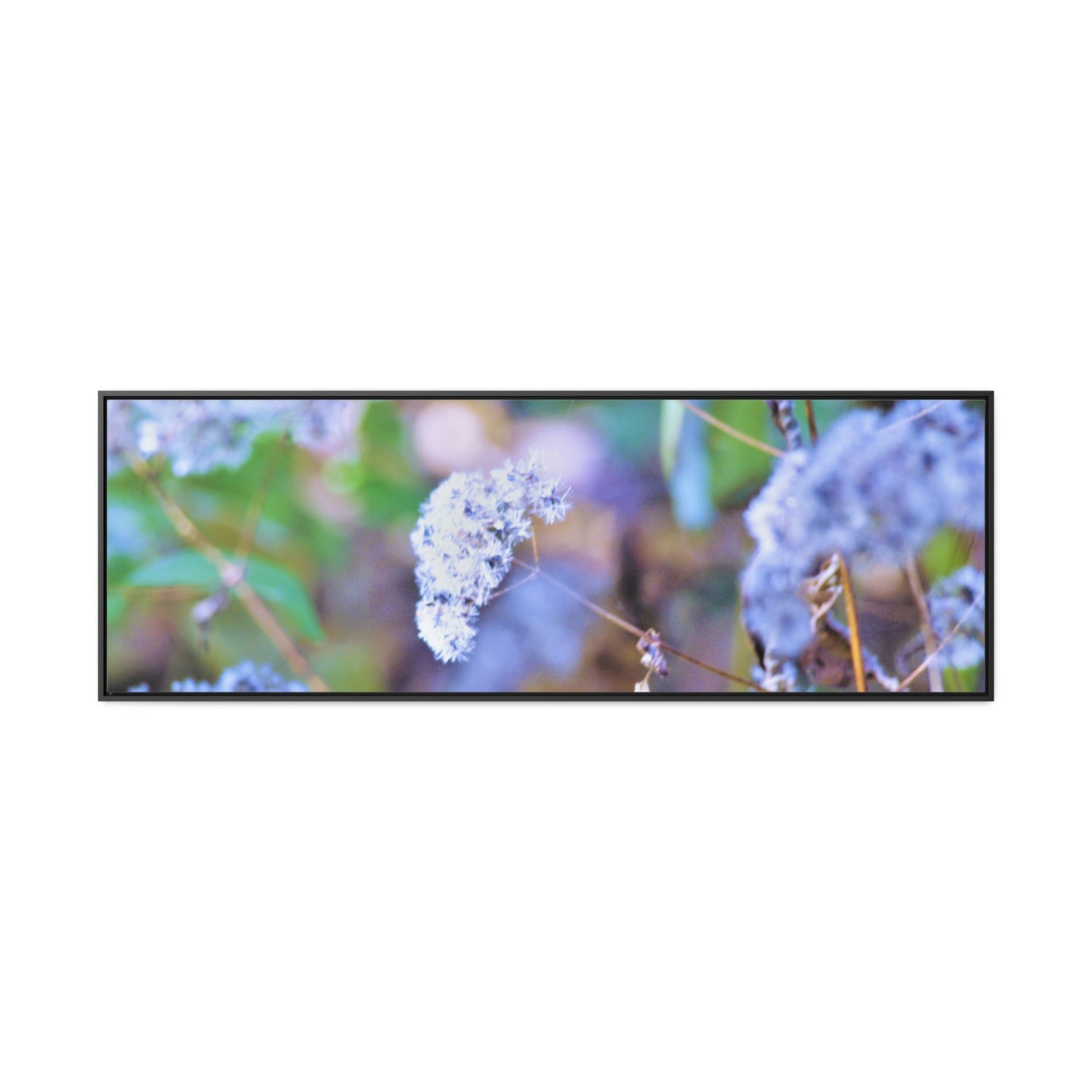 Macro Blue Gallery Canvas Wraps, Horizontal Frame