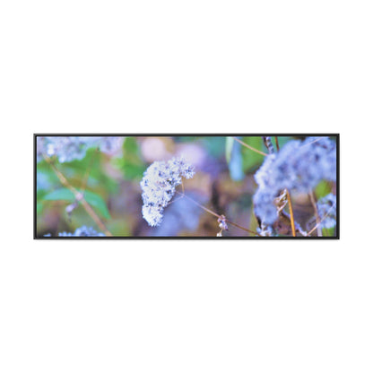 Macro Blue Gallery Canvas Wraps, Horizontal Frame 60″ x 20″ Black Premium Gallery Wraps (1.25″)