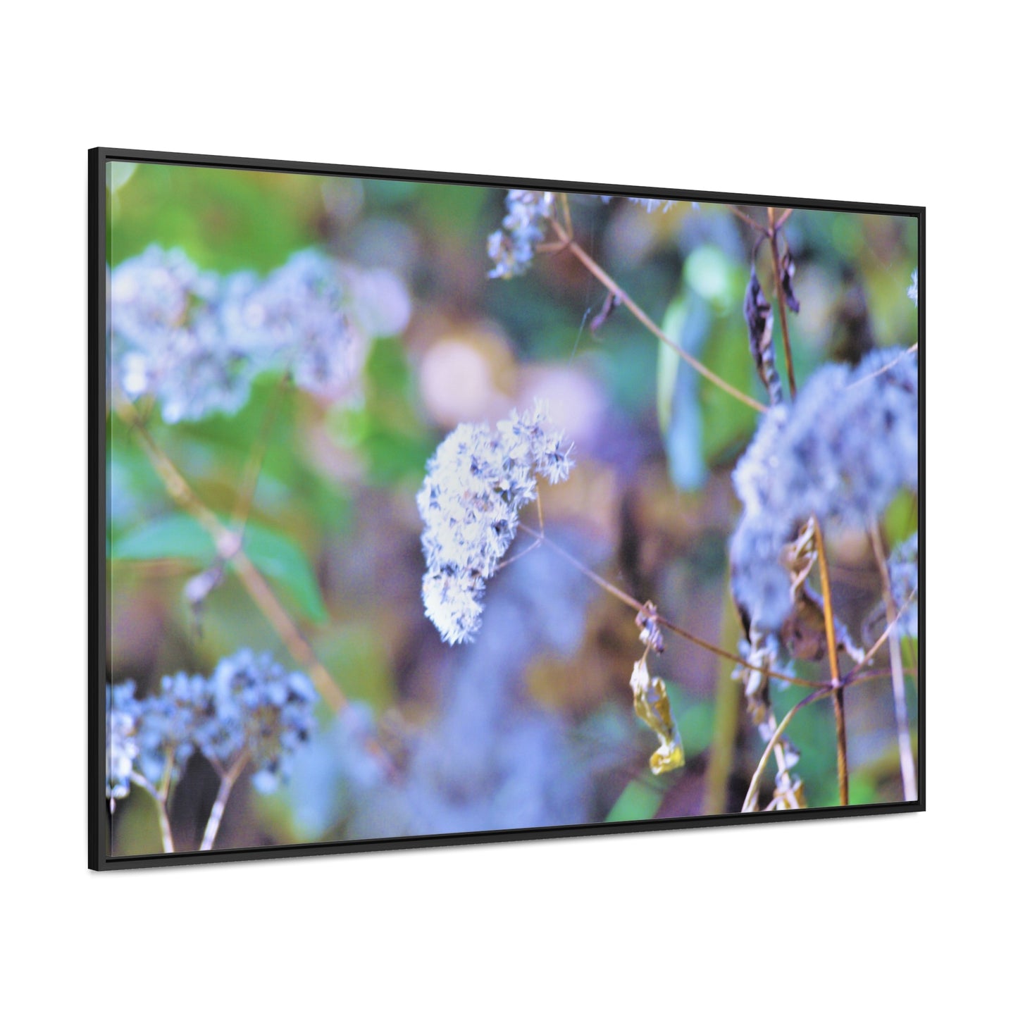 Macro Blue Gallery Canvas Wraps, Horizontal Frame