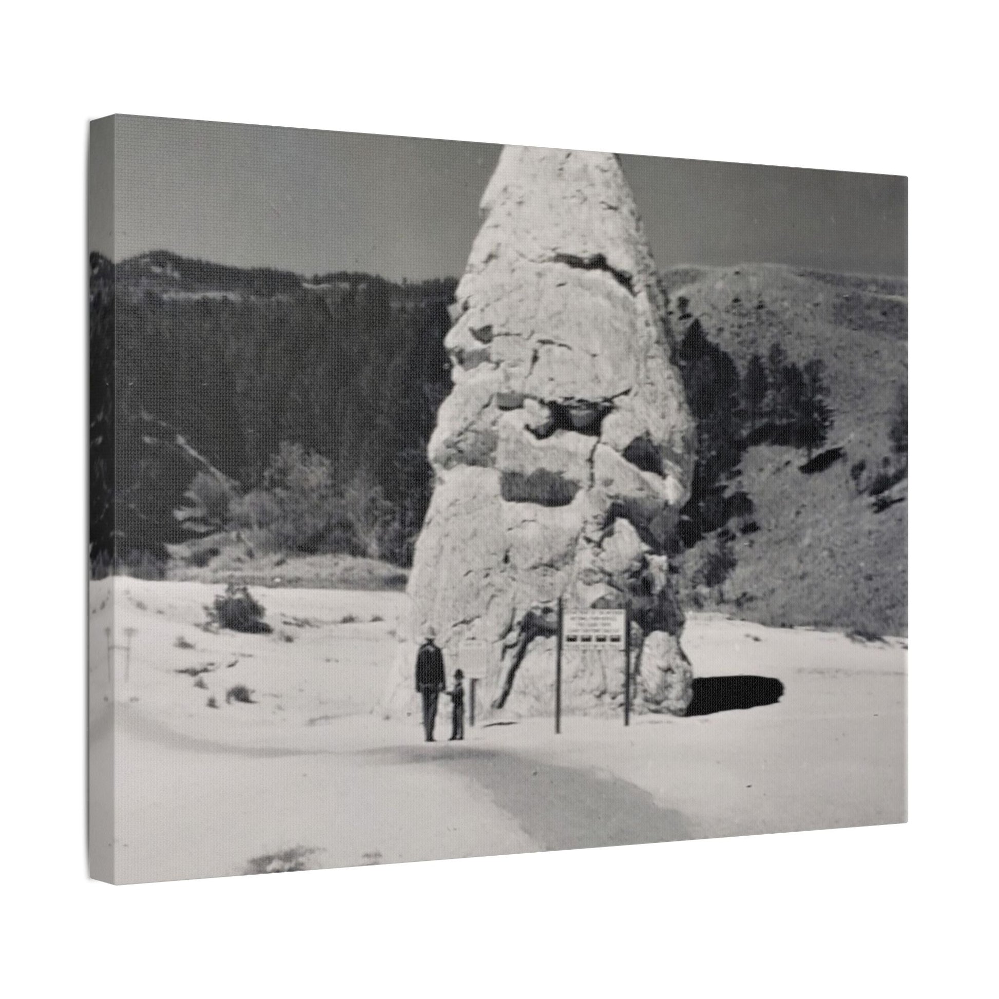 Liberty Cap Yellowstone Satin Canvas Stretched