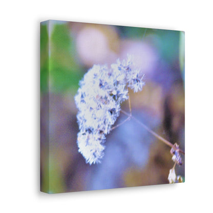 Macro Blue Canvas Gallery Wraps