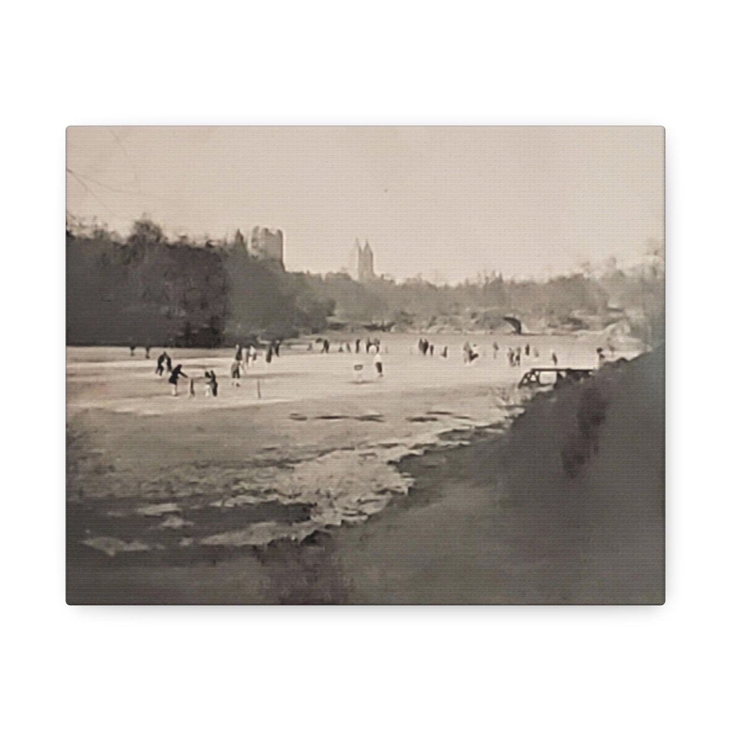 Central Park Stretched Canvas