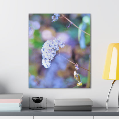 Macro Blue Canvas Gallery Wraps