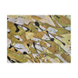 Gold Rush Satin Canvas, Stretched 16″ x 12″ (Horizontal) 1.5"