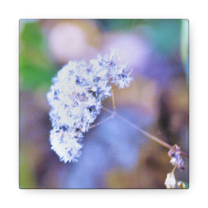 Macro Blue Canvas Gallery Wraps 6″ x 6″ 1.25"