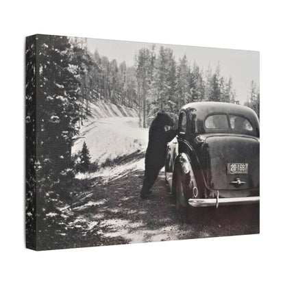 Yellowstone Bear Car Satin Canvas Stretched