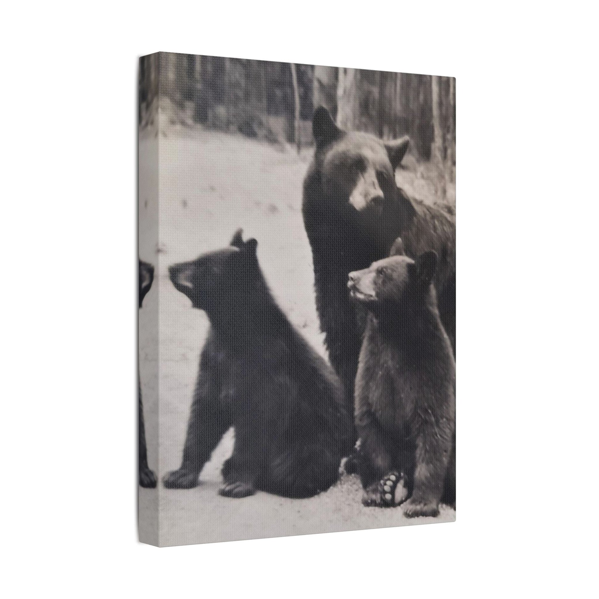 Yellowstone Black Bears Satin Canvas Stretched