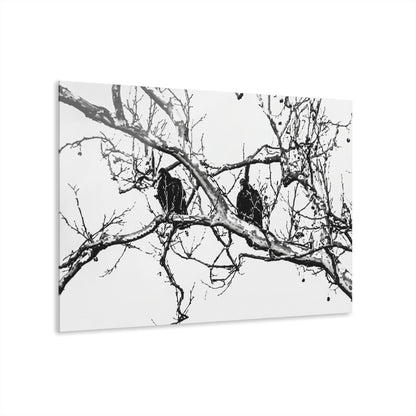 Black & White Buzzards Silhouette Acrylic Print — Modern Minimalist Wall Art - - Home Decor
