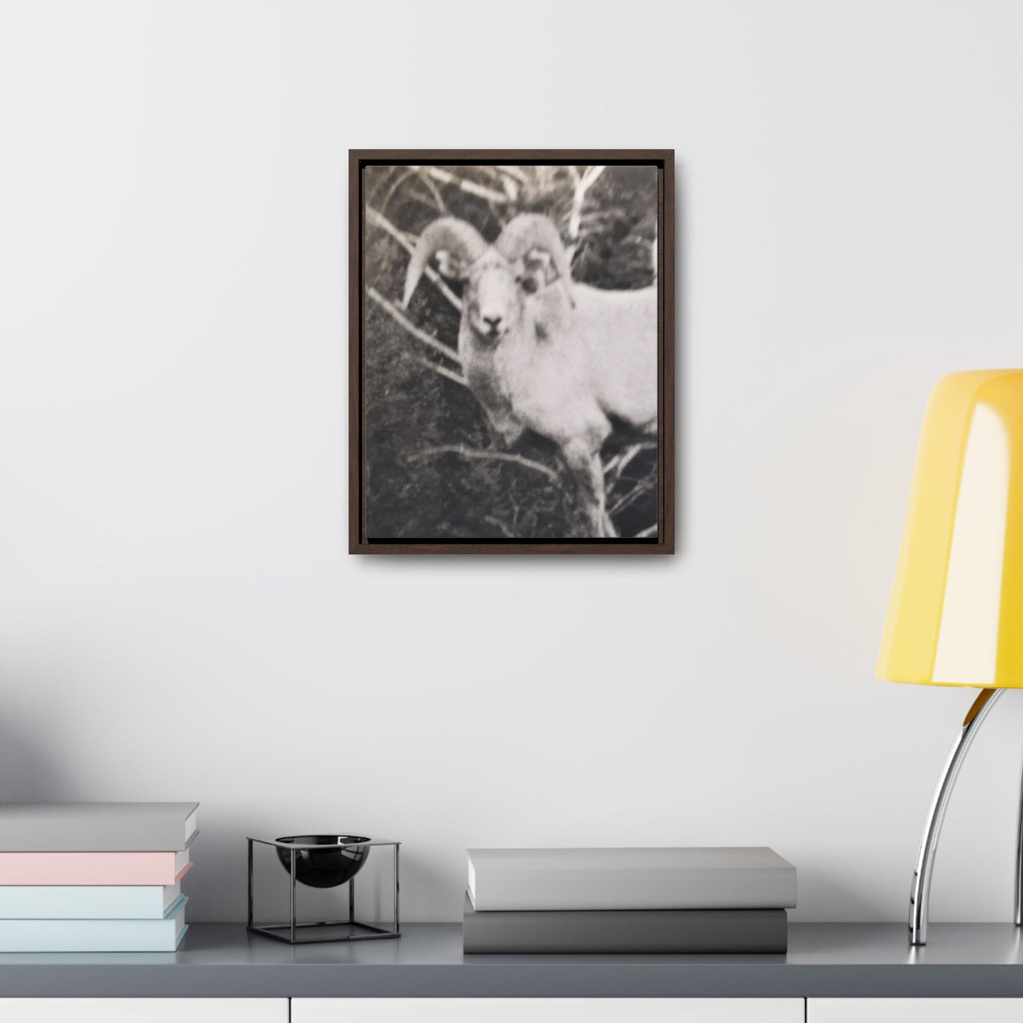 Yellowstone Big Horn Sheep Gallery Canvas Wraps Vertical Frame 11″ x 14″ Premium Gallery Wraps (1.25″) Walnut