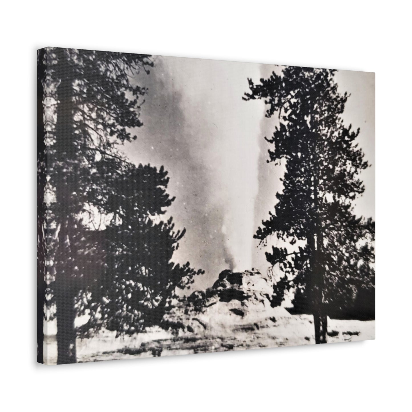 Castle Geyser Yellowstone Stretched Canvas