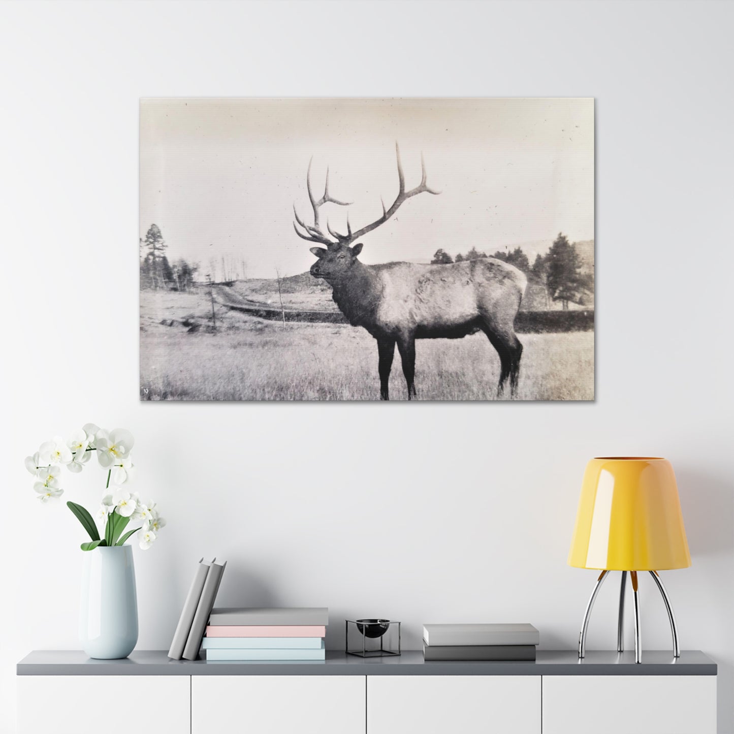 Yellowstone Bull Elk Canvas Gallery Wraps