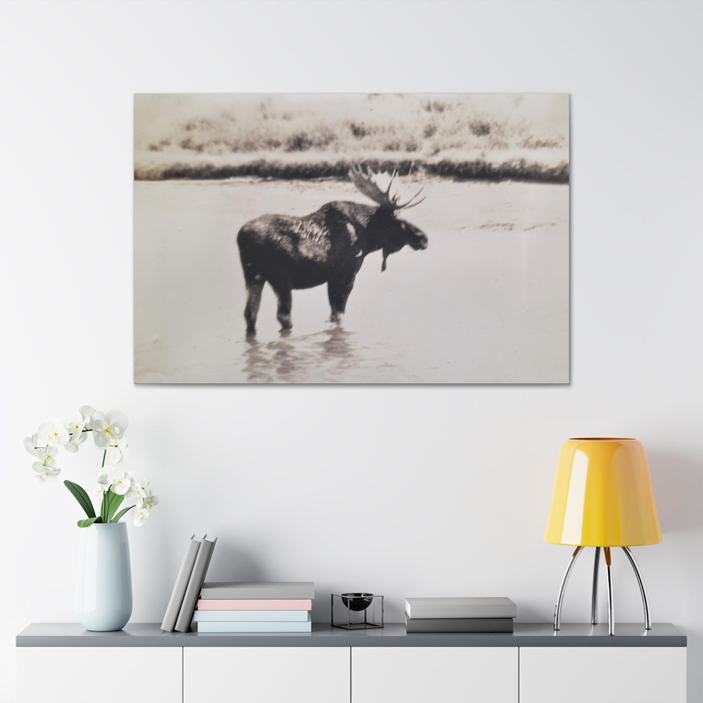 Yellowstone Bull Moose Canvas Gallery Wraps