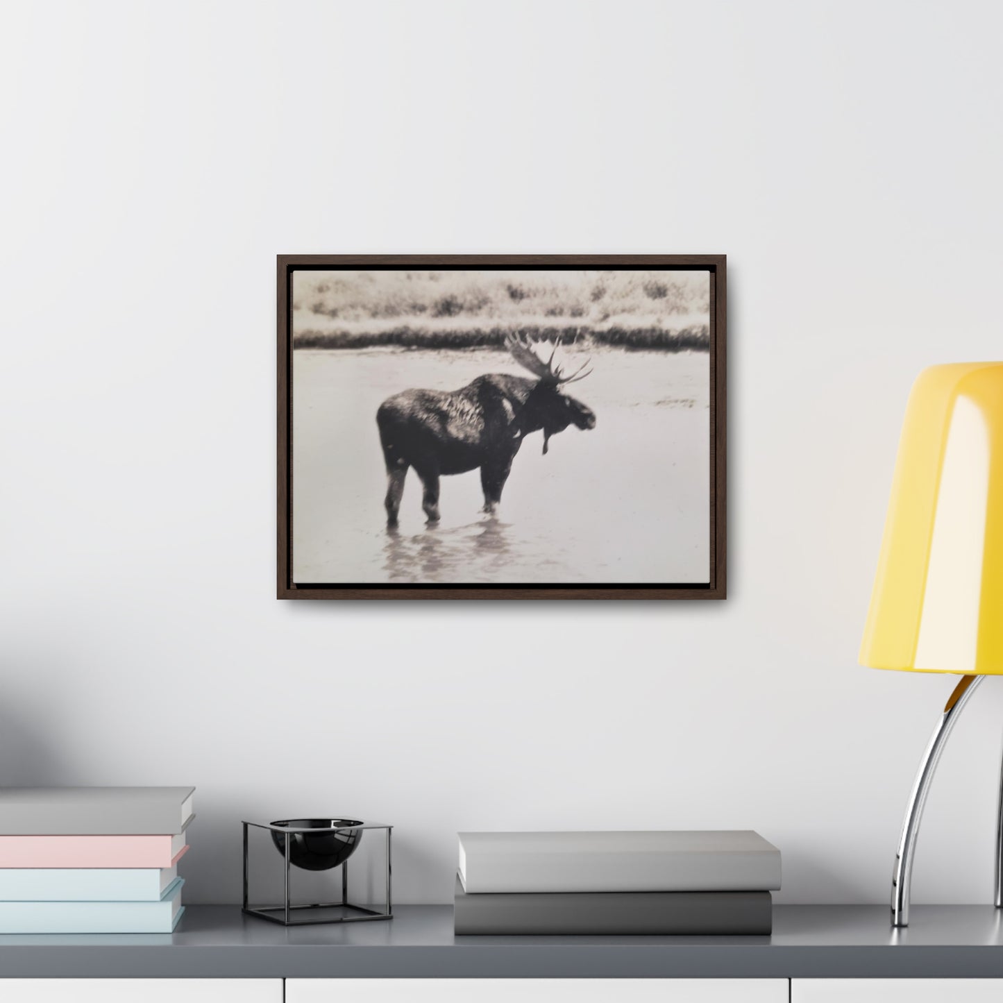 Yellowstone Bull Moose Gallery Canvas Wraps, Horizontal Frame