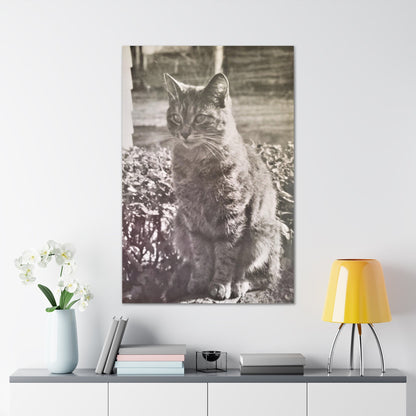 Caledonia Canvas Gallery Wraps 32″ x 48″ 1.25"