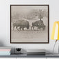 Buffalo at Redwood Falls Gallery Canvas Wraps Square Frame 30″ x 30″ Premium Gallery Wraps (1.25″) Walnut