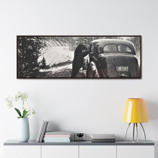 Yellowstone Bear Car Gallery Canvas Wraps, Horizontal Frame