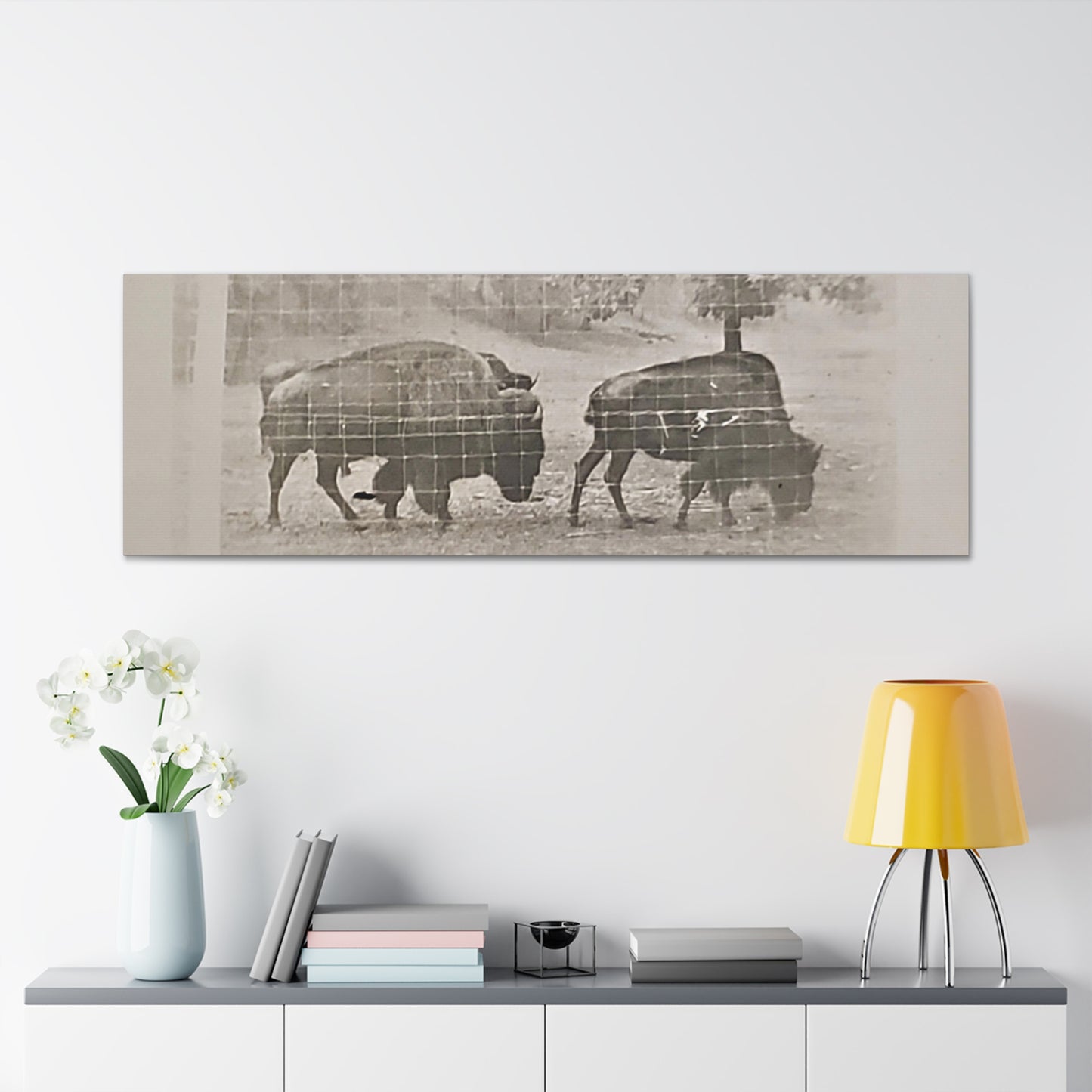 Buffalo at Redwood Falls Canvas Gallery Wraps