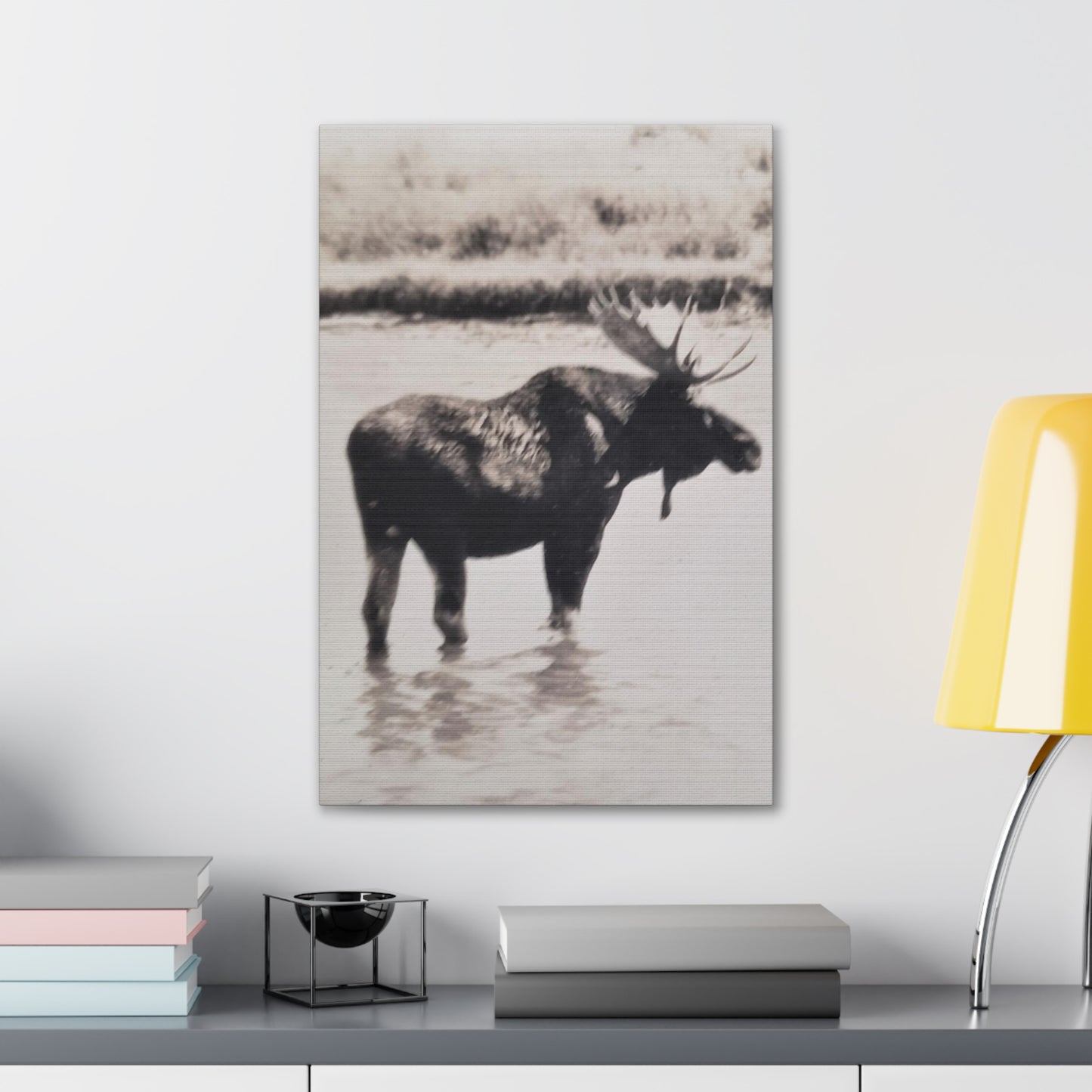 Yellowstone Bull Moose Canvas Gallery Wraps