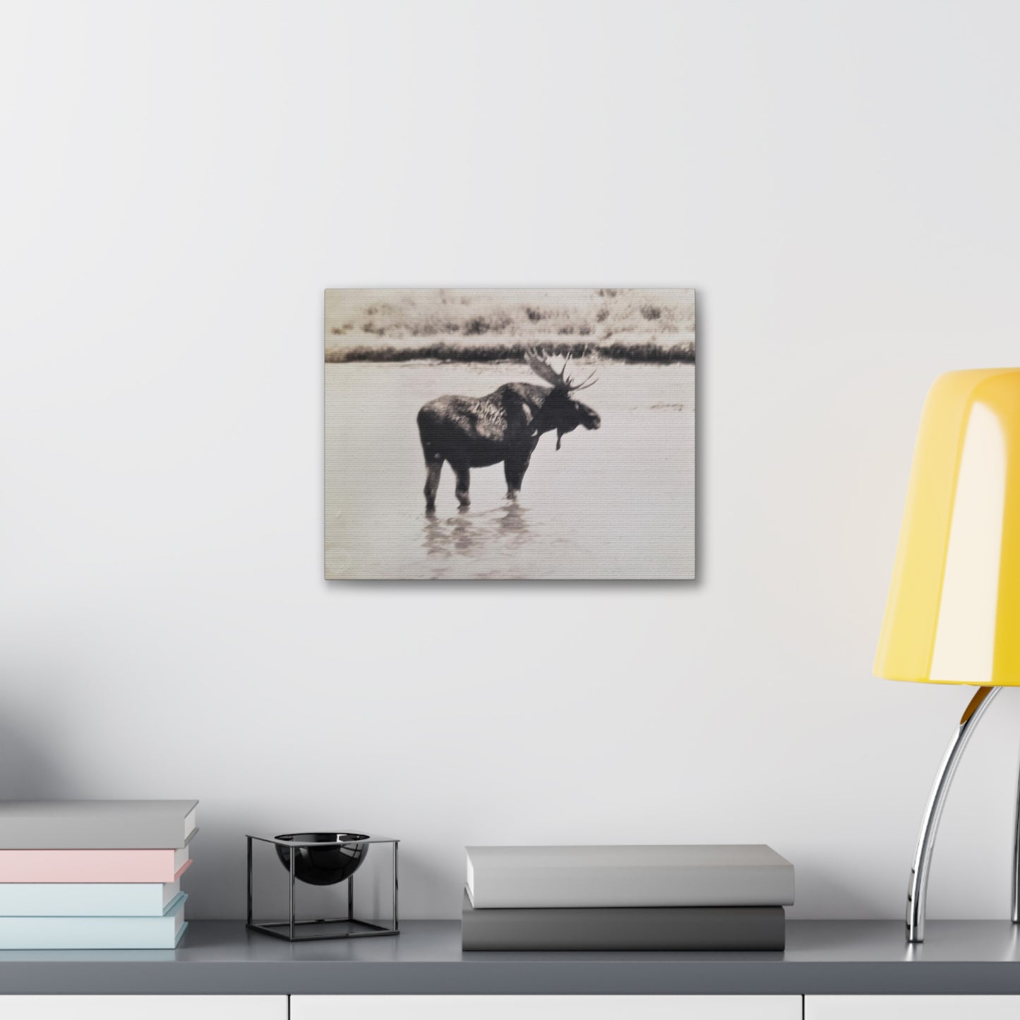 Yellowstone Bull Moose Canvas Gallery Wraps