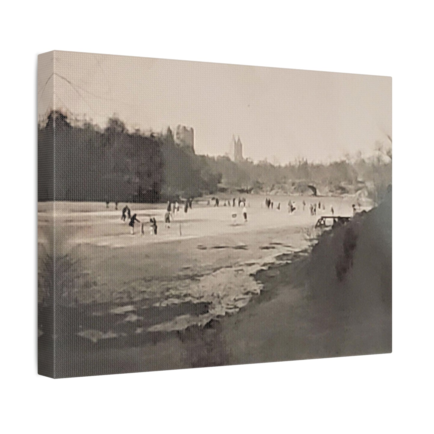 Central Park Stretched Canvas