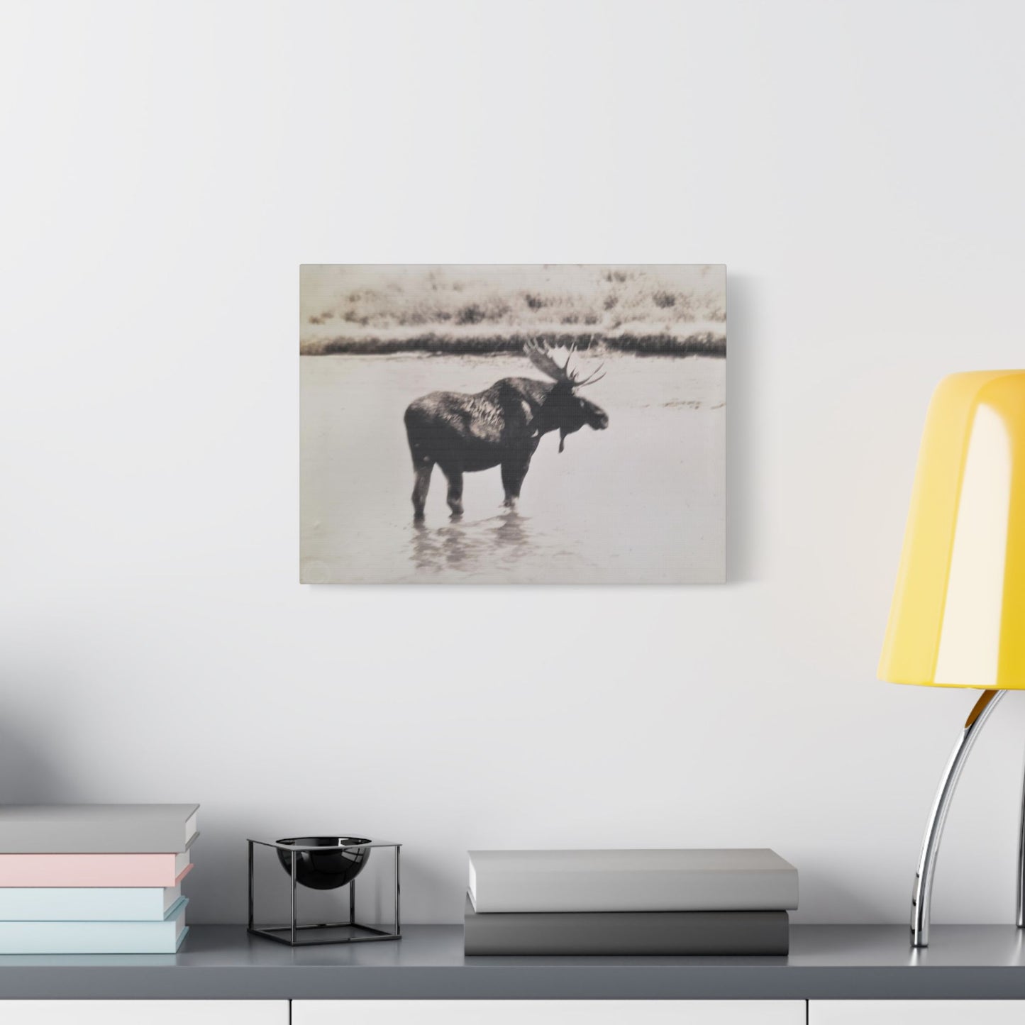 Yellowstone Bull Moose Satin Canvas Stretched 16″ x 12″ (Horizontal) 1.5"