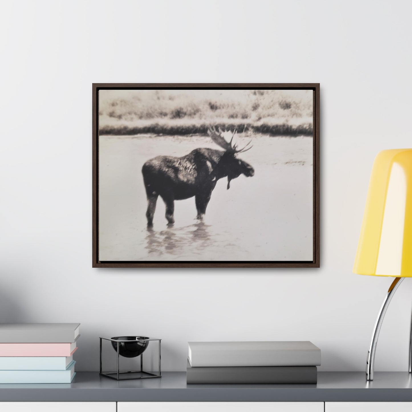 Yellowstone Bull Moose Gallery Canvas Wraps, Horizontal Frame