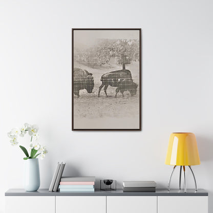 Buffalo at Redwood Falls Gallery Canvas Wraps Vertical Frame 24″ x 36″ Premium Gallery Wraps (1.25″) Walnut