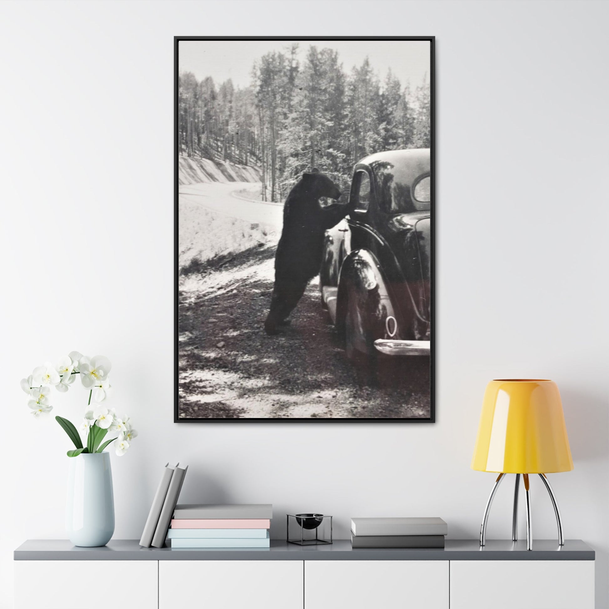 Yellowstone Bear Car Gallery Canvas Wraps Vertical Frame - 32″ x 48″ Premium Gallery Wraps (1.25″) Black - Canvas