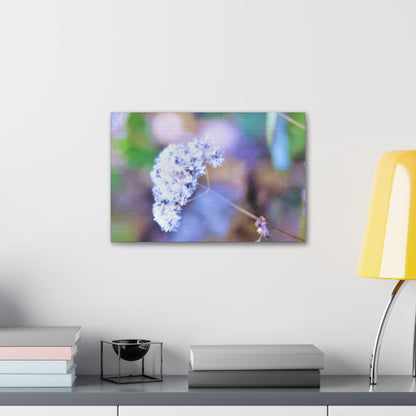 Macro Blue Canvas Gallery Wraps