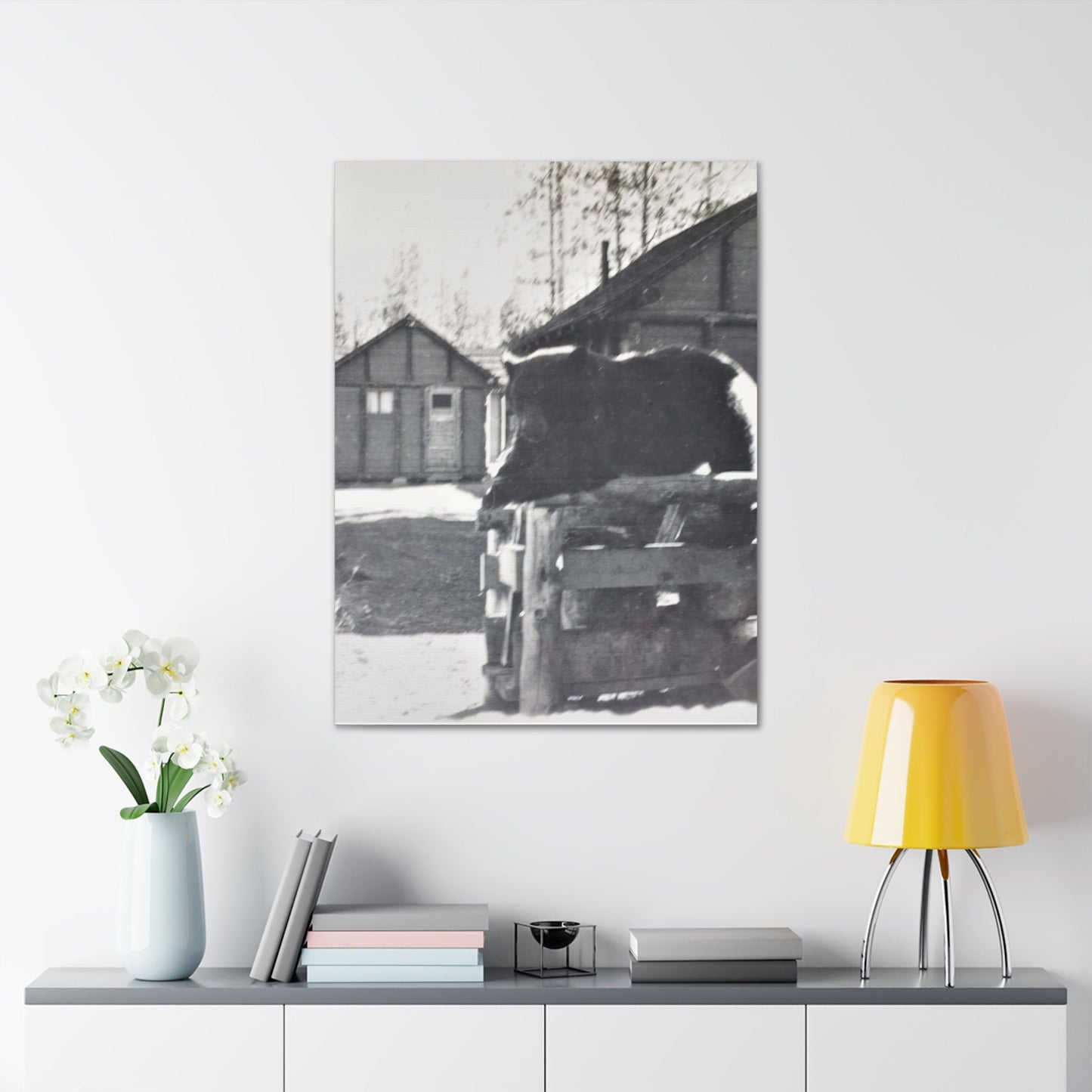 Yellowstone Bear Canvas Gallery Wraps 30″ x 40″ 1.25"