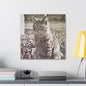 Caledonia Canvas Gallery Wraps 20″ x 20″ 1.25"
