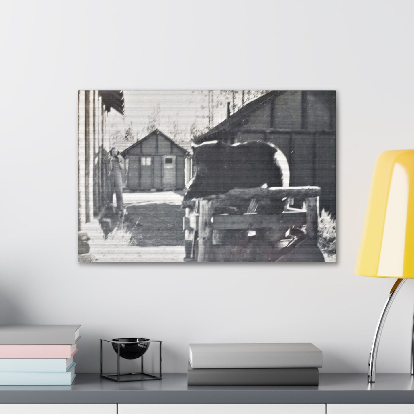 Yellowstone Bear Canvas Gallery Wraps 24″ x 16″ 1.25"