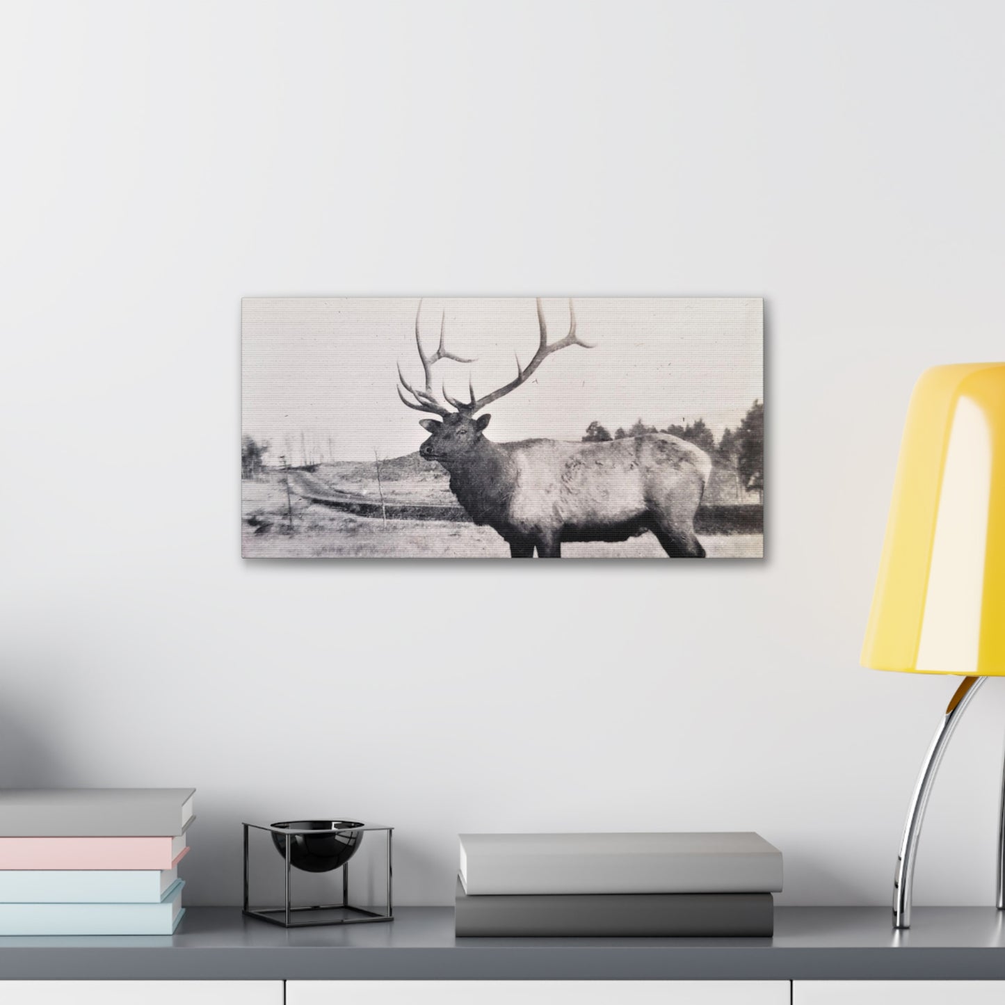 Yellowstone Bull Elk Canvas Gallery Wraps