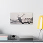 Yellowstone Bull Elk Canvas Gallery Wraps 20″ x 10″ 1.25"