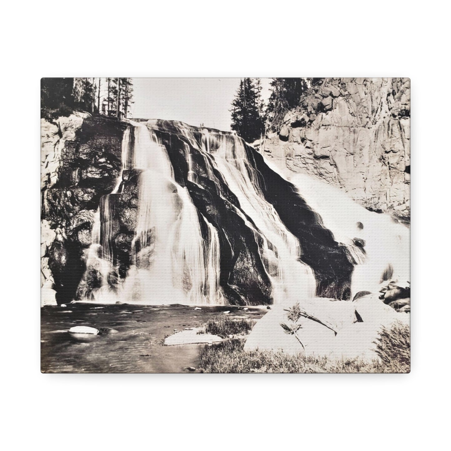 Gibbon Falls Yellowstone Stretched Canvas