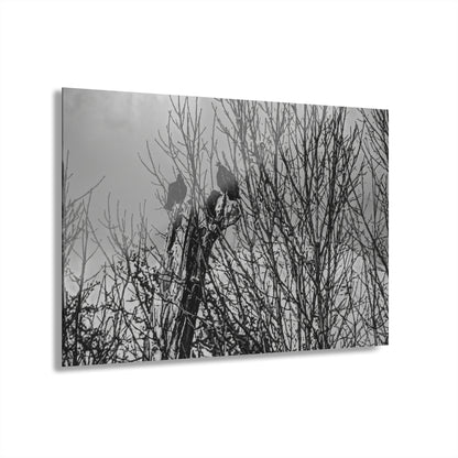 Black & White Buzzards in Winter Trees French Cleat Hanging - - Home Decor