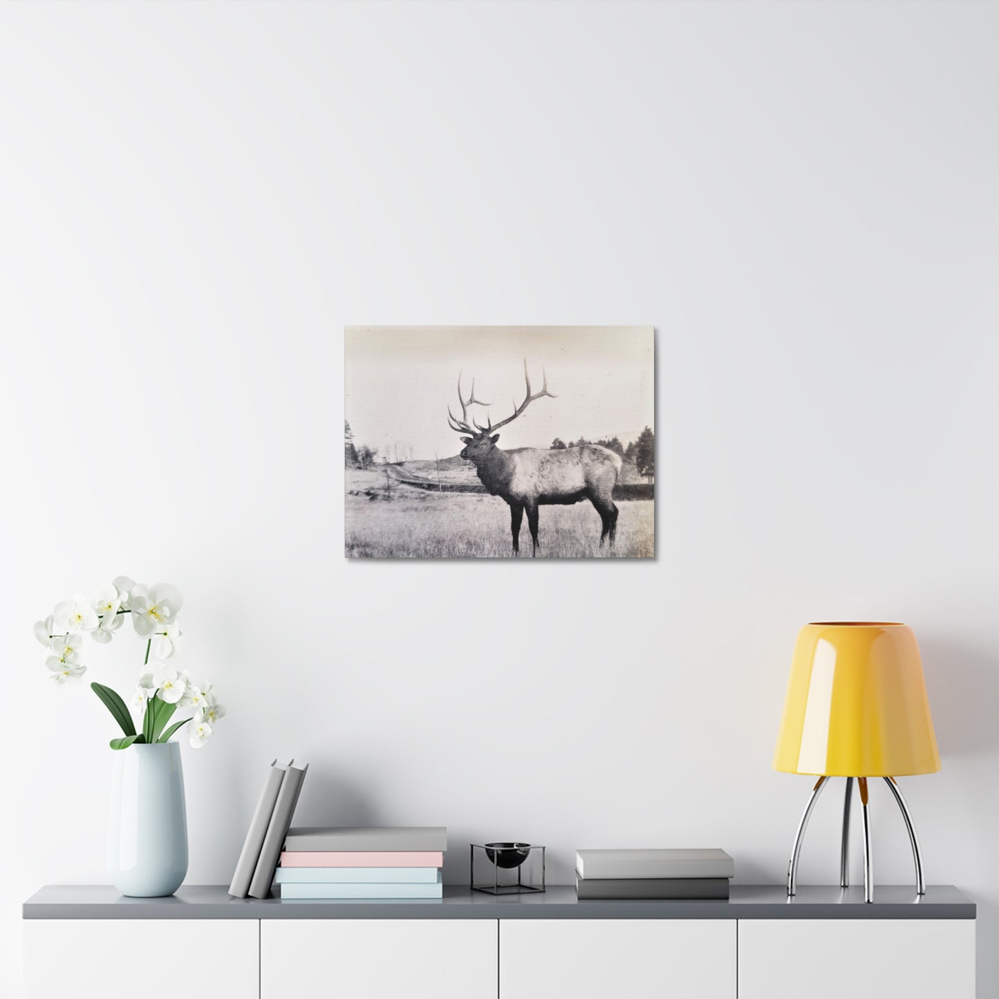 Yellowstone Bull Elk Stretched Canvas