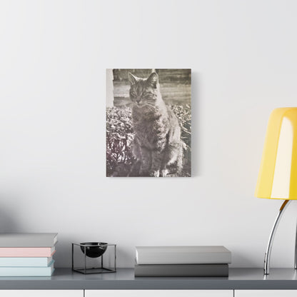 Caledonia Satin Canvas Stretched