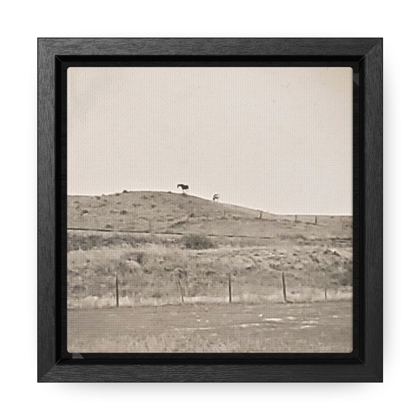 Outside Philip South Dakota Gallery Canvas Wraps, Square Frame