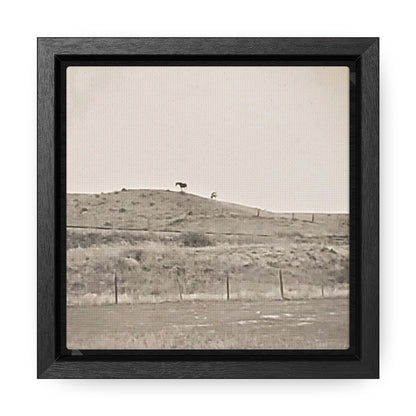 Outside Philip South Dakota Gallery Canvas Wraps, Square Frame