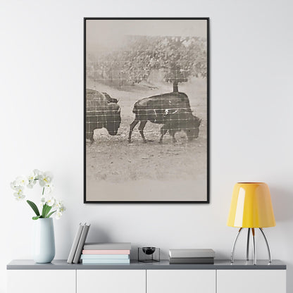 Buffalo at Redwood Falls Gallery Canvas Wraps Vertical Frame 32″ x 48″ Premium Gallery Wraps (1.25″) Black