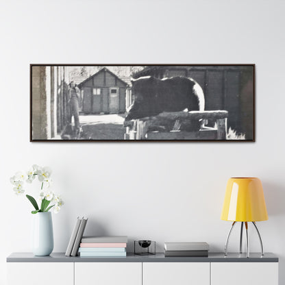 Yellowstone Bear Gallery Canvas Wraps, Horizontal Frame