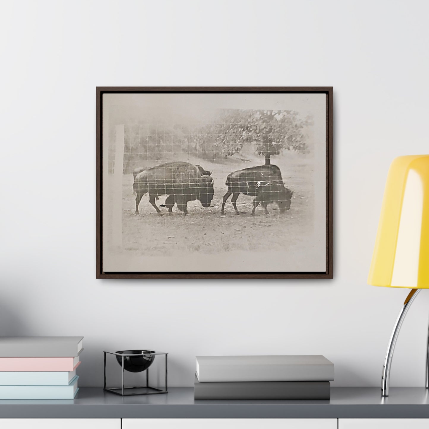 Buffalo at Redwood Falls Gallery Canvas Wraps, Horizontal Frame